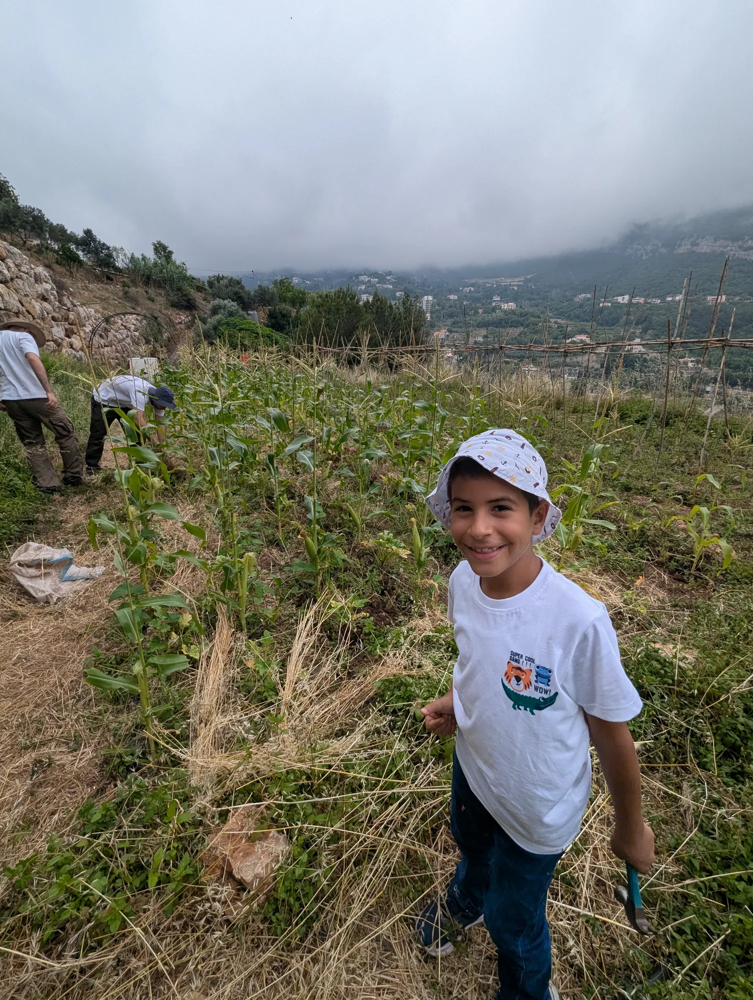 A child walking through a Sannour field