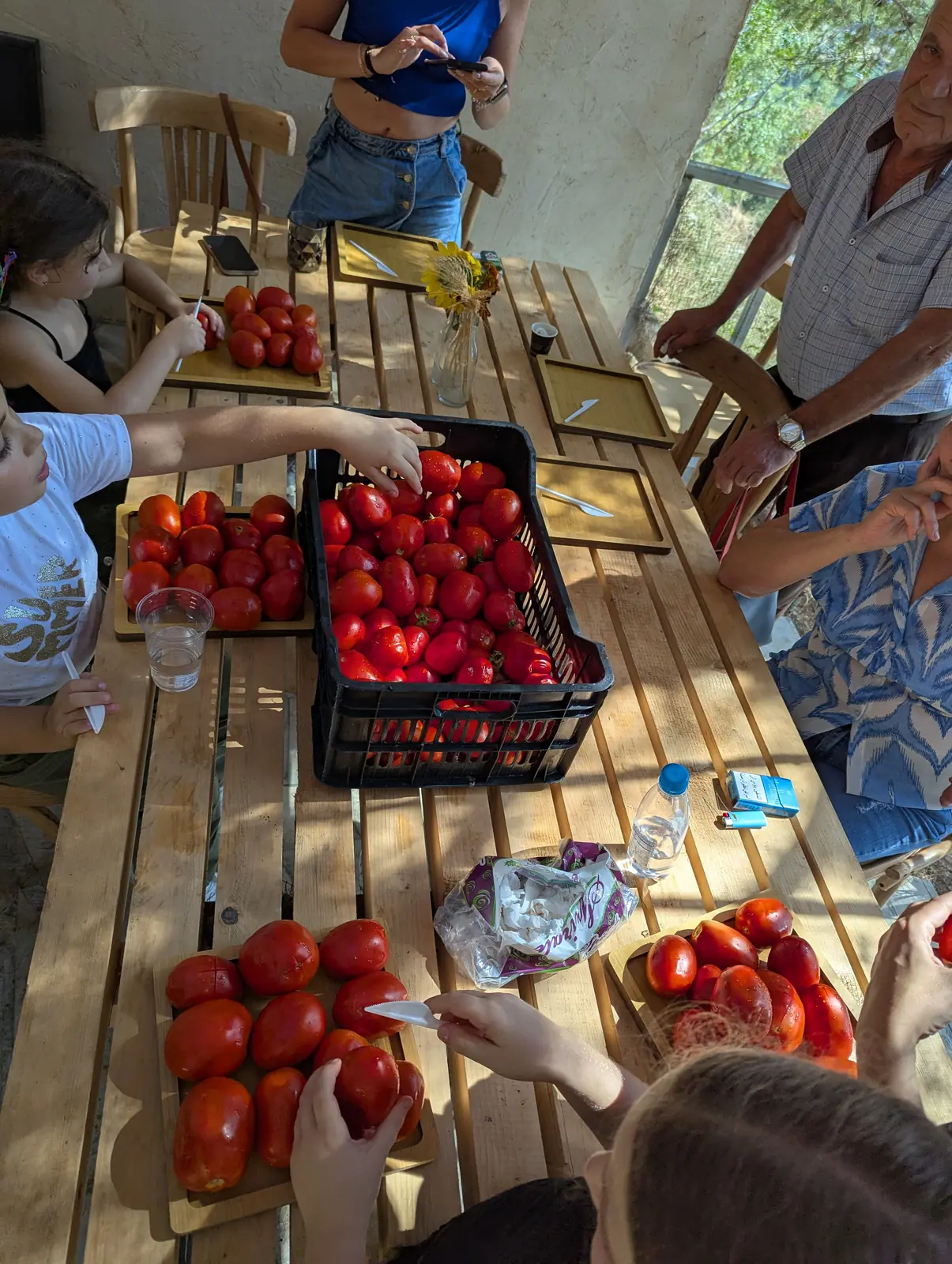 People preparing tomatoes during a preserving workshop
